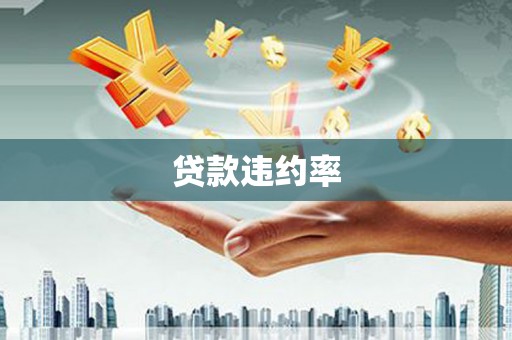 岑巩贷款违约率