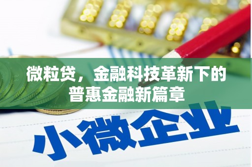 岑巩微粒贷，金融科技革新下的普惠金融新篇章