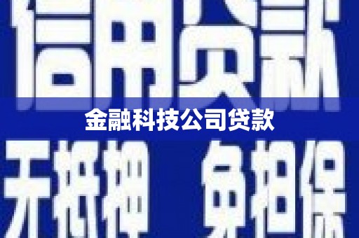 岑巩金融科技公司贷款