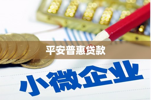 岑巩平安普惠贷款