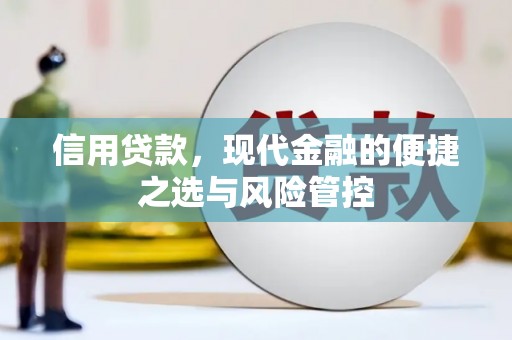 岑巩信用贷款，现代金融的便捷之选与风险管控