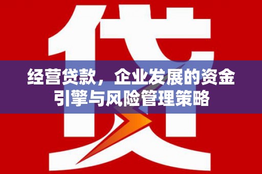 岑巩经营贷款，企业发展的资金引擎与风险管理策略