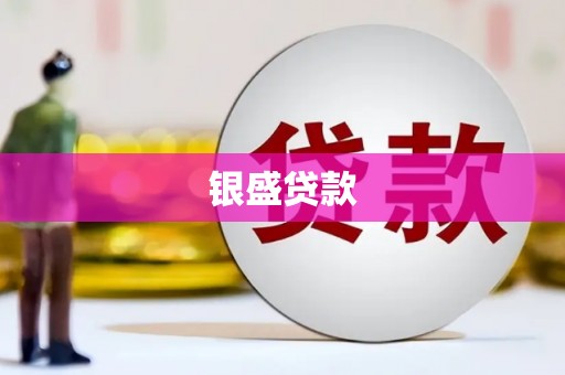 岑巩银盛贷款