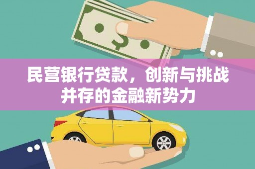 岑巩民营银行贷款，创新与挑战并存的金融新势力