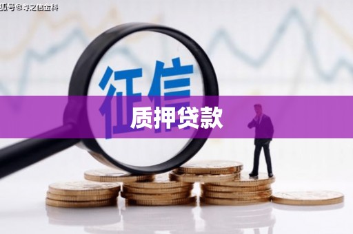 岑巩质押贷款