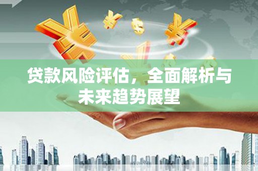 岑巩贷款风险评估，全面解析与未来趋势展望