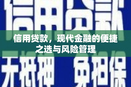 岑巩信用贷款，现代金融的便捷之选与风险管理