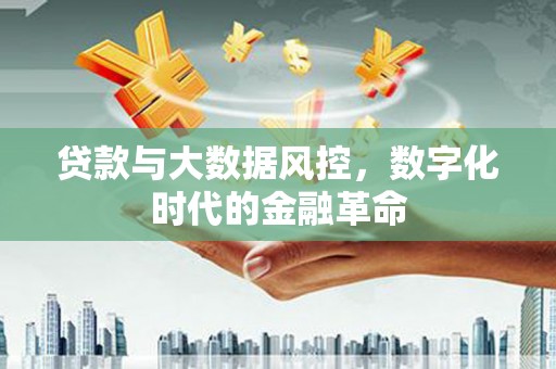 岑巩贷款与大数据风控，数字化时代的金融革命