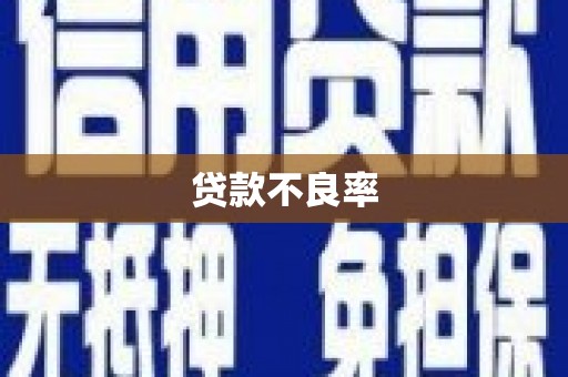 岑巩贷款不良率