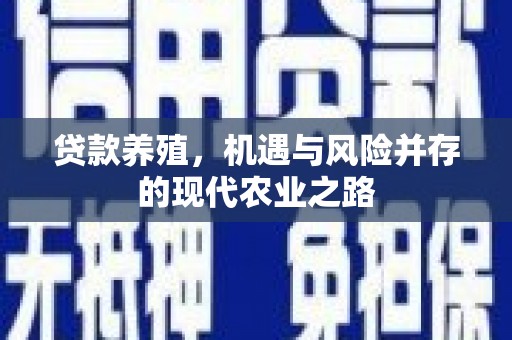 岑巩贷款养殖，机遇与风险并存的现代农业之路