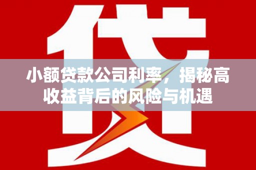 岑巩小额贷款公司利率，揭秘高收益背后的风险与机遇