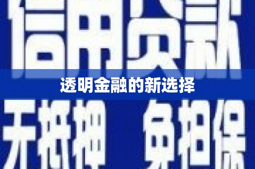 岑巩透明金融的新选择