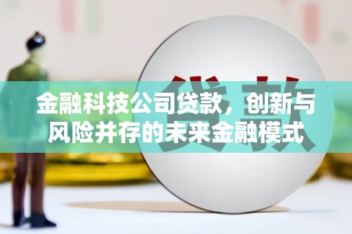 岑巩金融科技公司贷款，创新与风险并存的未来金融模式