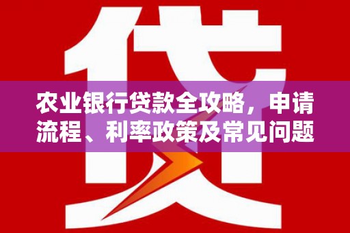 岑巩农业银行贷款全攻略，申请流程、利率政策及常见问题解析