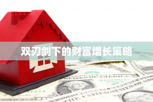岑巩双刃剑下的财富增长策略