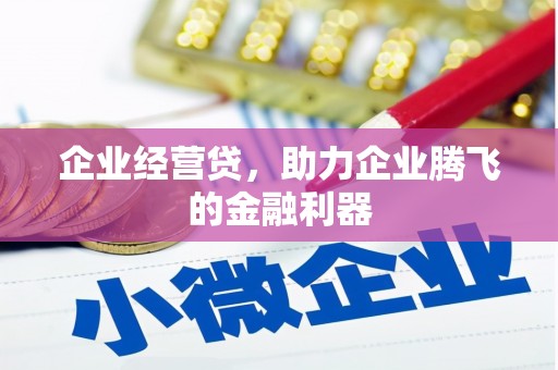 岑巩企业经营贷，助力企业腾飞的金融利器