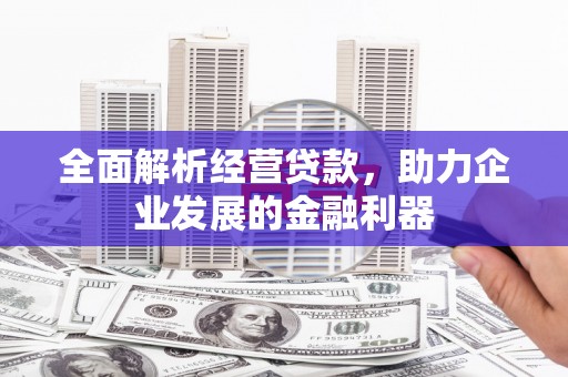 岑巩全面解析经营贷款，助力企业发展的金融利器