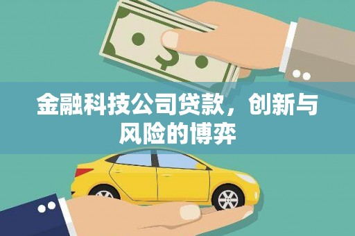 岑巩金融科技公司贷款，创新与风险的博弈