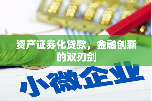 岑巩资产证券化贷款，金融创新的双刃剑