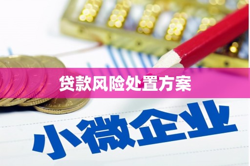 岑巩贷款风险处置方案