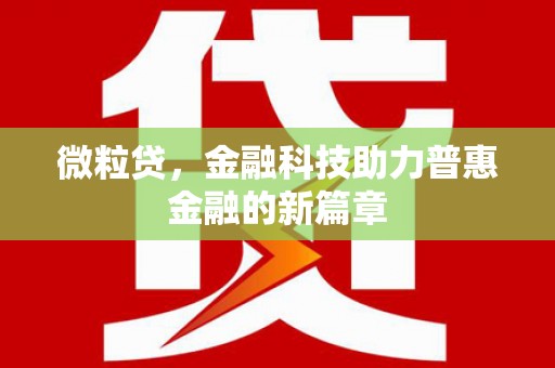 岑巩微粒贷，金融科技助力普惠金融的新篇章