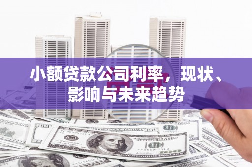 岑巩小额贷款公司利率，现状、影响与未来趋势