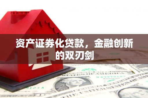 岑巩资产证券化贷款，金融创新的双刃剑