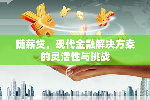 岑巩随薪贷，现代金融解决方案的灵活性与挑战