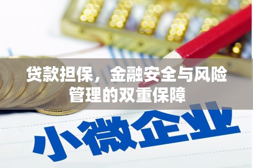 岑巩贷款担保，金融安全与风险管理的双重保障