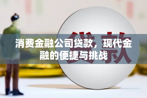 岑巩消费金融公司贷款，现代金融的便捷与挑战