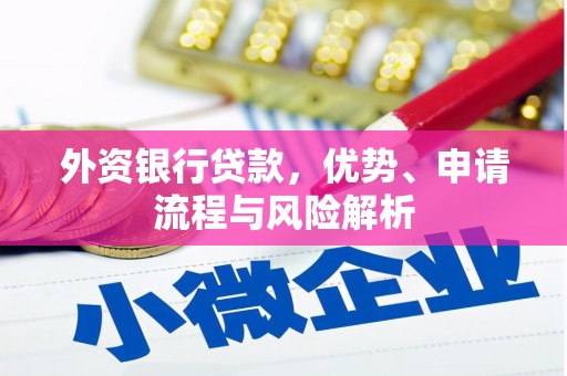 岑巩外资银行贷款，优势、申请流程与风险解析
