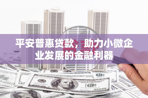 岑巩平安普惠贷款，助力小微企业发展的金融利器