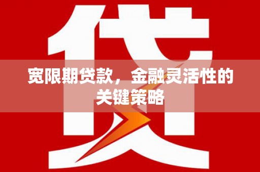 岑巩宽限期贷款，金融灵活性的关键策略