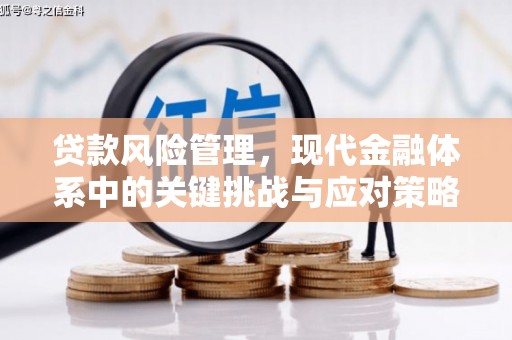 岑巩贷款风险管理，现代金融体系中的关键挑战与应对策略