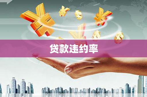 岑巩贷款违约率