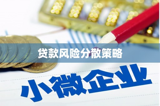 岑巩贷款风险分散策略
