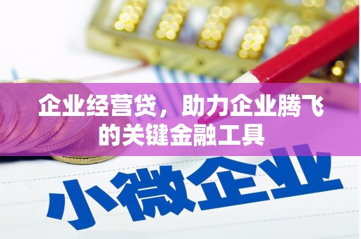 岑巩企业经营贷，助力企业腾飞的关键金融工具