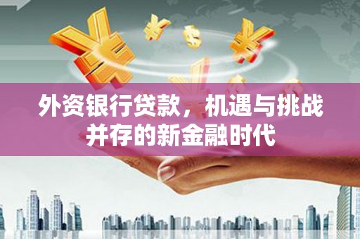 岑巩外资银行贷款，机遇与挑战并存的新金融时代