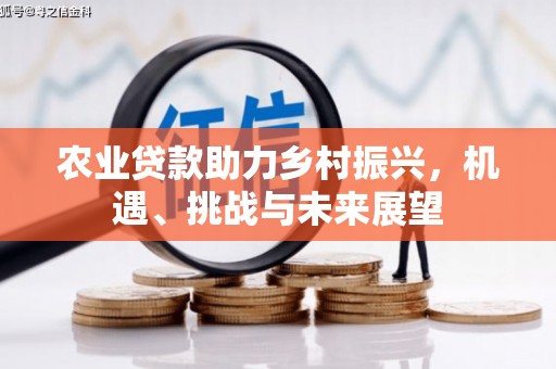 岑巩农业贷款助力乡村振兴，机遇、挑战与未来展望