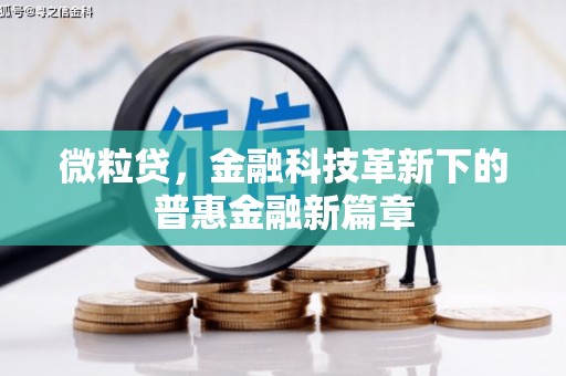 岑巩微粒贷，金融科技革新下的普惠金融新篇章