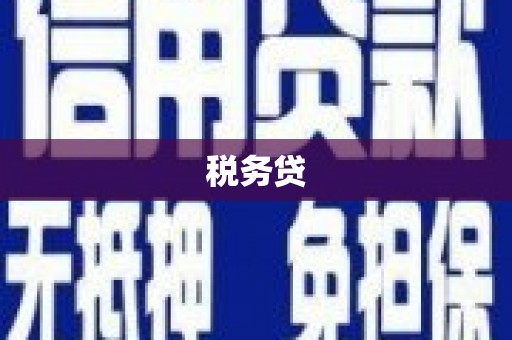 岑巩税务贷