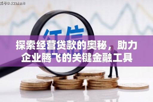 岑巩探索经营贷款的奥秘，助力企业腾飞的关键金融工具