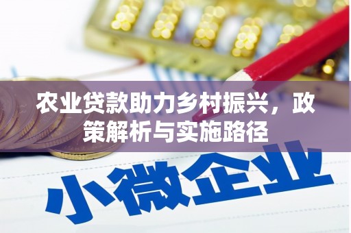岑巩农业贷款助力乡村振兴，政策解析与实施路径