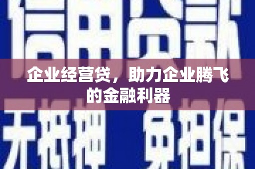 岑巩企业经营贷，助力企业腾飞的金融利器