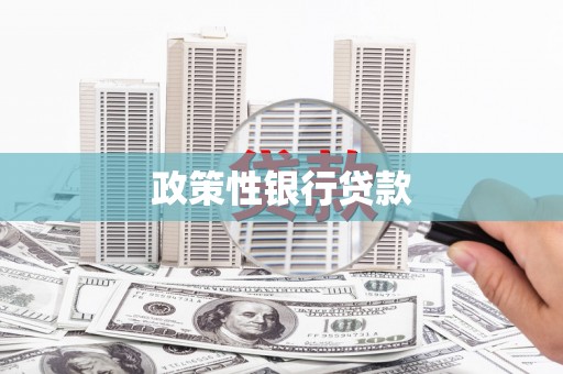 岑巩政策性银行贷款