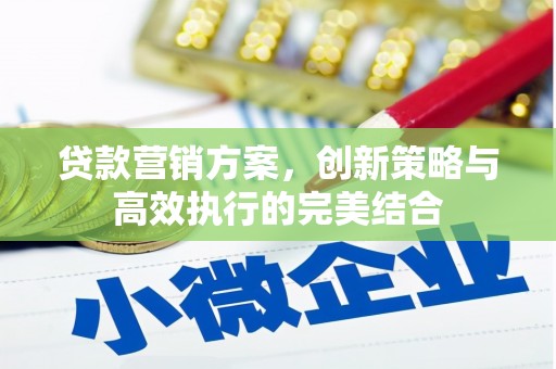 岑巩贷款营销方案，创新策略与高效执行的完美结合