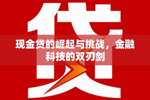 岑巩现金贷的崛起与挑战，金融科技的双刃剑