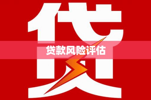 岑巩贷款风险评估