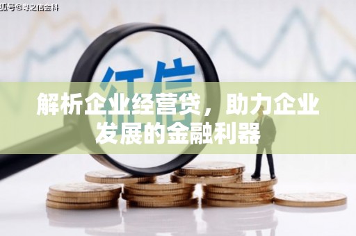 岑巩解析企业经营贷，助力企业发展的金融利器