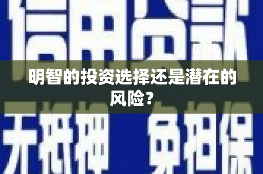 岑巩明智的投资选择还是潜在的风险？